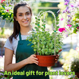 Vokvaktak 6 Pack U-Shape Acrylic Plant Trellis for Indoor Climbing Plants, 16 Inch Small Plant Trellis, Potted Plant Climber Support for Pothos, Vine Ivy, Houseplant