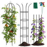 100% Metal Obelisk Garden Trellis 6.6 Feet Tall Sturdy Plant Support