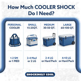 Cooler Shock Reusable Ice Packs for Cooler - Long-Lasting Freezer Packs with Built-in Handle - All-Purpose Medium Size, Pack of 4