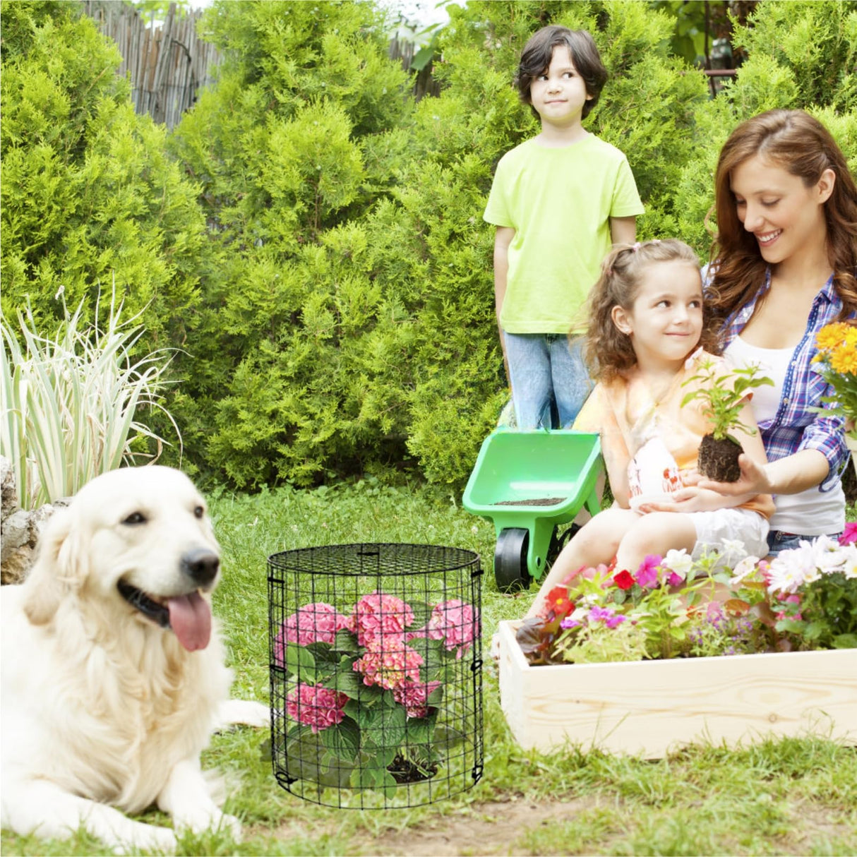6 Packs Garden Plant Protectors from Animals,Metal Plant Cage, 11.8"x 12.6"