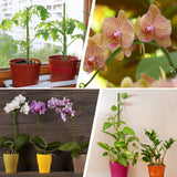 20Pcs Plant Stakes, 23.6IN Orchid Support Stakes for Indoor Plants