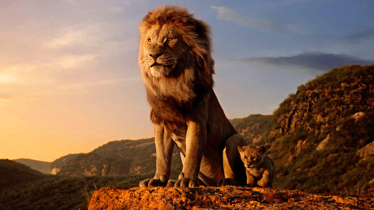 The Lion King (1994) / the Lion King (2019) / Mufasa [DVD]