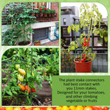 Threehoney 50 Pcs Adjustable Plant Stake Arms for Tomato Cage 11 Inch Expandable Trellis Connectors 11mm Diameter Garden Plant Stake Arms for Tomato Cage Vegetable Climbing Attach