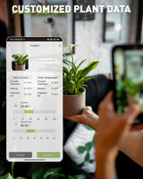 RAINPOINT Bluetooth 2-in-1 Soil Moisture & Air Temp Meter, App Remote Monitoring, 20 Plant Database, Compatible with WiFi Hub TWG009 & Water Timer ITV102b