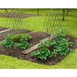 AGTEK 2 Packs 18" x 46" Foldable Cucumber Trellis for Cucumber, Climbing Plants, Vegetable Flowers