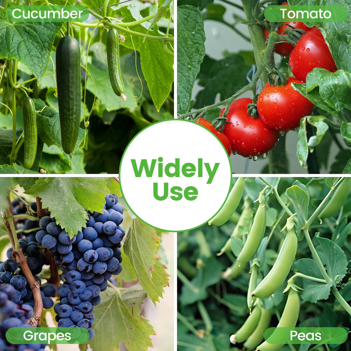 Toriexon Foldable Cucumber Trellis 48" L x 34" W