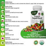 AAMATEC LIFE Organic Superfood Greens Fruits and Veggies Complex - Dietary Supplement with 14 Greens &14 Vegetables with Alfalfa Rich in Antioxidants Organic Ingredients Non-GMO (120 Count Pack of 2)