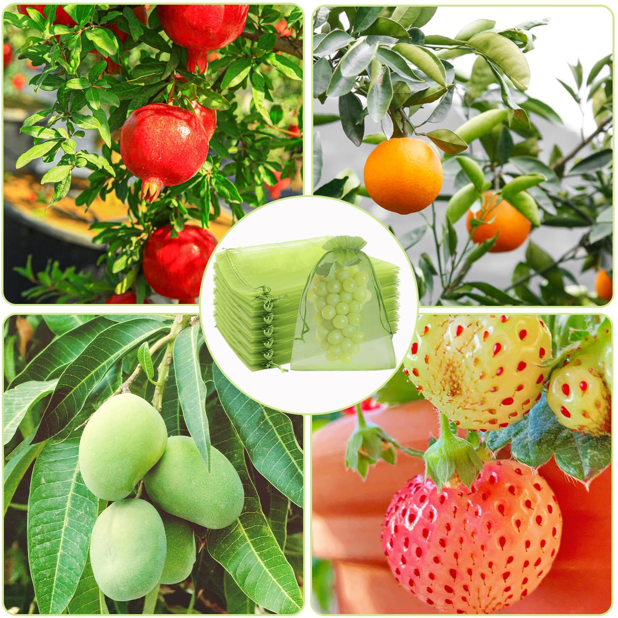 Uigidori 100 Pcs Fruit Protection Bags, 8 x 12 Inch Green Netting Cover Bags with Drawstring, Pest Barrier for Trees, Garden Cover Mesh Bags for Plant Fruit, Flower and Vegetables
