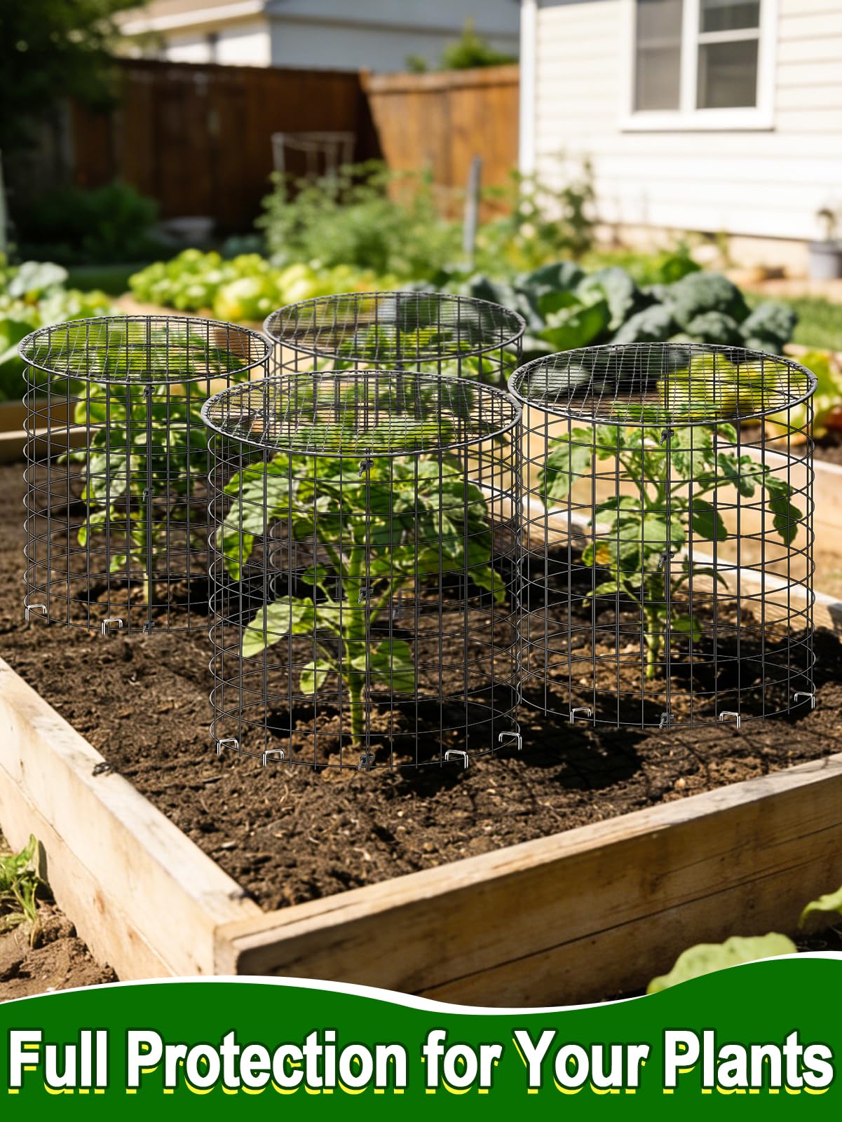 16''H x 11''Dia Plant Protectors from Animals - Full-Protection Anti-Rust Plant Cages with Covers for Outdoor Plants, Wire Garden Cloches for Plants Strawberry Keeping Chicken Rabbits Out, 4 Sets