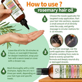 VITAL AFFAIR Blend Of Pure Rosemary Oil With Castor, Batana, Jojoba Oil - Infused With Biotin & Vitamin E-Blend of Effective Hair Oils for Hair Growth-Strengthening Treatment 6 Fl Oz