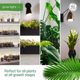 GE Grow LED Light Bulb for Plants Seeds and Greens, Balanced Light Spectrum, A19 (2 Pack)