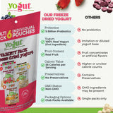 YoGut Freeze Dried Yogurt Snack, Variety Pack, 6 Pack, Healthy Snacks for Kids, Toddlers & Adults, Gluten Free, Non GMO, With 5 Billion Live Probiotics, Vitamins & Minerals, Individual Snack Packs