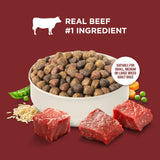 Nutrish Dry Dog Food, Beef, Pea & Brown Rice, 40 lb. Bag (Rachael Ray)