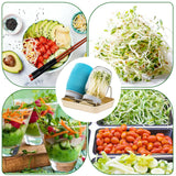ZJ Whoest 32OZ Sprouting Kit, 2 Sprouting Jar Kits, Wide Mouth Mason Jars with Sprout Lids.Sprouts Growing Kit, Seed Sprouter Set for Growing Broccoli, Bean, Alfalfa