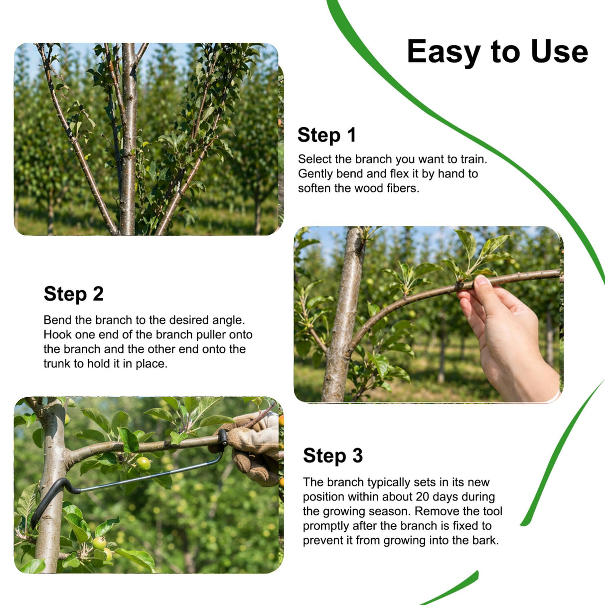 Limb Spreaders for Fruit Trees 21 PCS, 10 Inch Tree Limb Spreader, Metal Fruit Tree Branch Spreaders with Bark-Protective Rubber Hooks, Tree Branch Support for Apple Pear Cherry Plum (10 Inch)