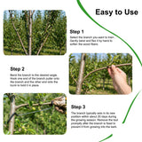 Limb Spreaders for Fruit Trees 21 PCS, 10 Inch Tree Limb Spreader, Metal Fruit Tree Branch Spreaders with Bark-Protective Rubber Hooks, Tree Branch Support for Apple Pear Cherry Plum (10 Inch)