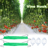 HFXXAD 70Pcs Tomato Hooks with String, Tomato Support Hooks, Tomato Holder Hooks & Plant Support Clips with 33.3ft Twine to Prevent Tomatoes from Pinching or Falling Off