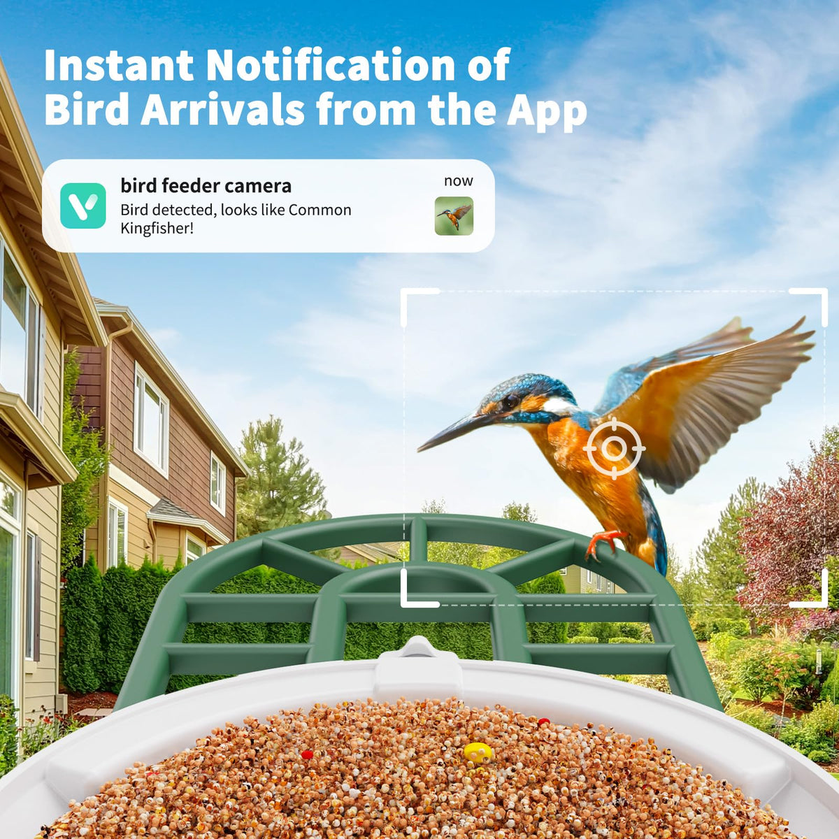 HARYMOR Smart Bird Feeder with Camera - AI Identify Birds Species, Solar Powered Bird House with Cam, 2L Large Capacity, 2K HD Video Live Stream, Instant Arrival Alerts - Green