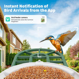 HARYMOR Smart Bird Feeder with Camera - AI Identify Birds Species, Solar Powered Bird House with Cam, 2L Large Capacity, 2K HD Video Live Stream, Instant Arrival Alerts - Green