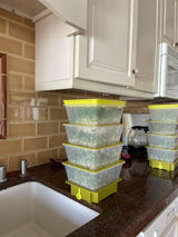 ZESTIGREENS 4-Tier Sprouting Kit - Stackable Seed Sprouter Trays with Drain Spout - Grow Fresh Sprouts at Home - BPA-Free