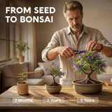 Bonsai Tree Kit Deluxe - Growing 5 Unique Japanese Bonzai Trees
