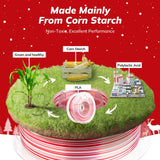 AMOLEN Silk PLA 3D Printer Filament, Shiny Multicolor Christmas Rainbow PLA Filament 1.75mm, Fast Color Change PLA 3D Printing Filament for Most FDM 3D Printer, Red White, 1kg (2.2lbs)