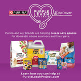 Purina Kitten Chow Year One Essentials Dry Kitten Food, 14 lb Bags