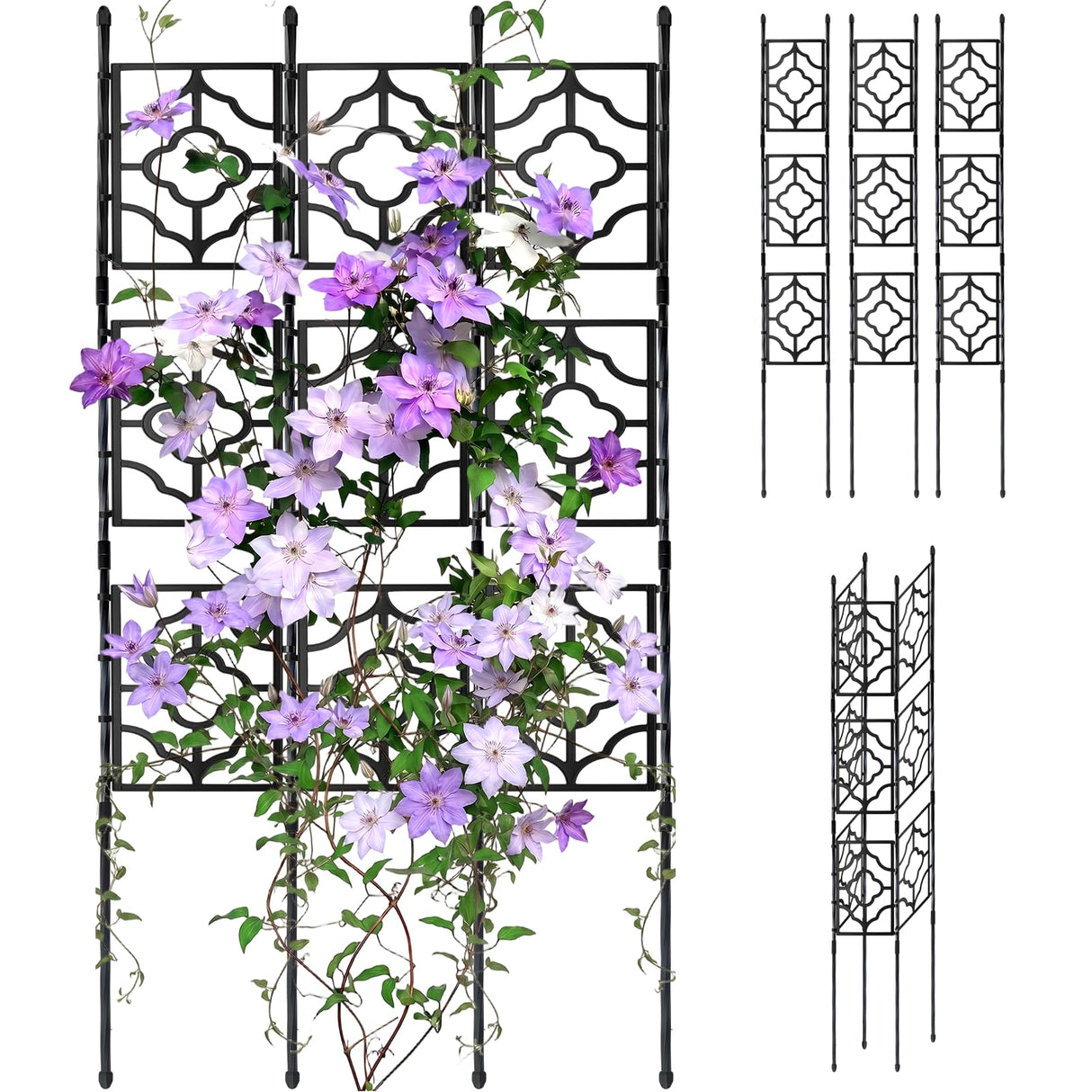 5.25FT Garden Trellis for Climbing Plants, Wall Trellis, 63 Inch Support Fence Climbing Plant Frame Outdoor and Indoor, Privacy Screen Plant Support Fence for Ivy Vines Vegetable Flower