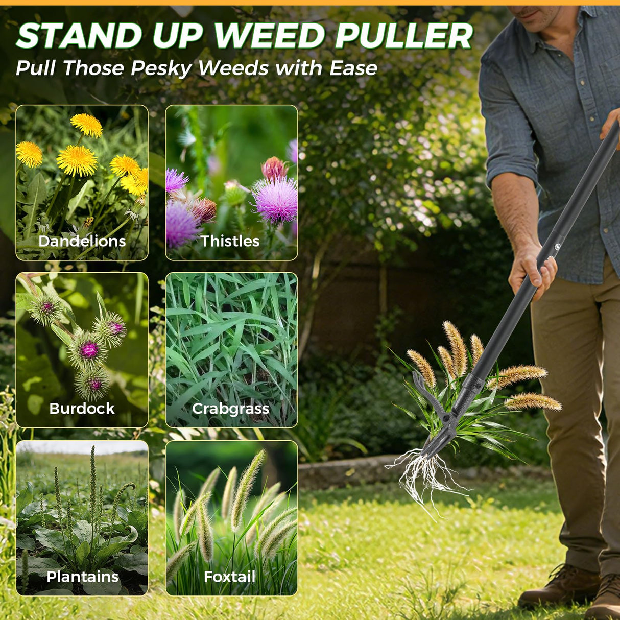 RexWeed Stand Up Weed Puller Tool, 46" Adjustable All-Metal Long Handle Weeder with 4-Claw Steel Head, Remove Weeds by Roots Without Bending or Kneeling, Heavy Duty Garden Tool Back & Knee Friendly