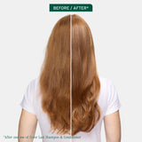 Biolage Color Last Shampoo – For Color-Treated Hair, 13.5 fl oz