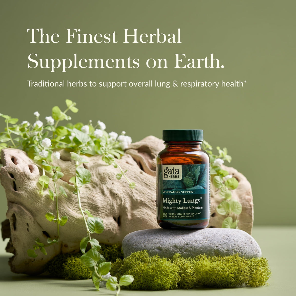 Gaia Herbs Mighty Lungs - Lung Support Supplement to Help Maintain Overall Lung & Respiratory Health* - With Mullein, Plantain, Schisandra & Elecampane - 60 Vegan Liquid Phyto-Capsules (30-Day Supply)
