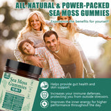 Sea Moss Gummies 16-in-1 | Irish Seamoss Gummies for Women Men with Black Seed Oil & Ashwagandha & Burdock & Bladderwrack | Boosts Immune Support, Skin Health and Digestion | 30 Gummies
