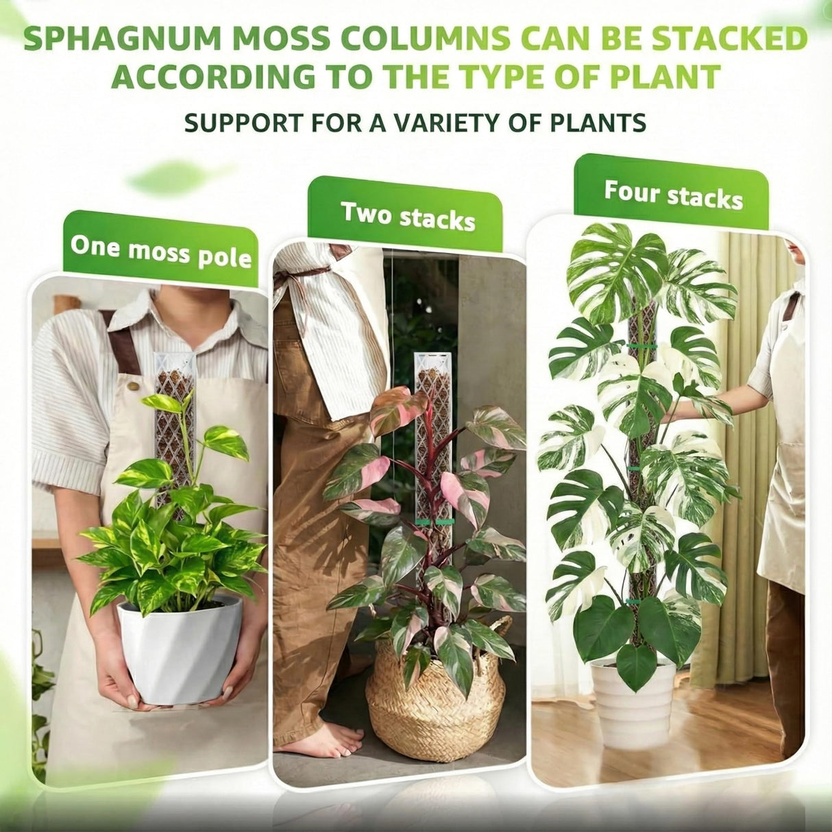 Sisher 6 Pcs Monstera Moss Pole,Plastic Moss Poles for Climbing Plants