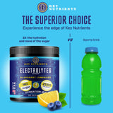 KEY NUTRIENTS Multivitamin Electrolytes Powder No Sugar - Fresh Blueberry Lemonade Electrolyte Powder - Endurance & Energy Supplement - Hydration Drink - No Calories - 90 Servings - Made in USA