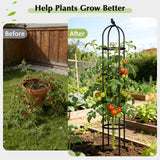 Garden Obelisk Trellis for Climbing Plants Outdoor, 6.2 FT Tomato Cage, Rose, Flowers, Grape, Pea, Cucumber Trellis, Rustproof Plastic Coated Metal Plant Support Trellis for Potted Plants (2 Pack)