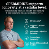 Spermidine Supplement (1440mg of 99% Pure Spermidine Supplements For Women & Men) 4 Months Supply (100X More Potent Than Wheat Germ Extract) 12MGS Per Serving For Cellular Health, Anti-Aging & Energy