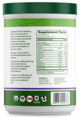 Green Foods Green Magma, 10.6 Ounce