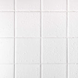 AQUA-X 16 Oz. Grout Sealer, Clear Grout and Tile Sealer, Natural Finish, Professional Grade, Indoor & Outdoor, Fast Dry and Long Lasting Protection