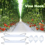 HFXXAD 60Pcs Tomato Hooks with String, Tomato Support Hooks, Tomato Holder Hooks & Plant Support Clips with 33.3ft Twine to Prevent Tomatoes from Pinching or Falling Off
