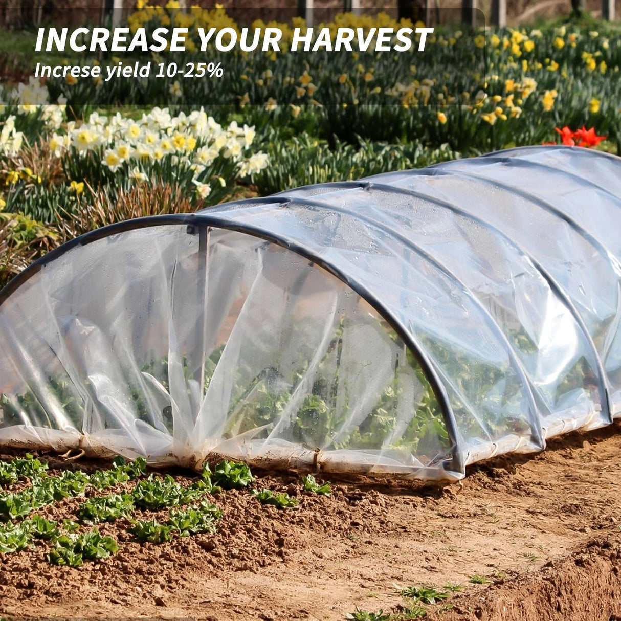 Laapee Greenhouse Plastic Sheeting 8' x 25' 6 Mil, Clear UV Resistant Heavy Duty Polyethylene Film, Thick Greenhouse Cover for Garden, Farm, Agriculture