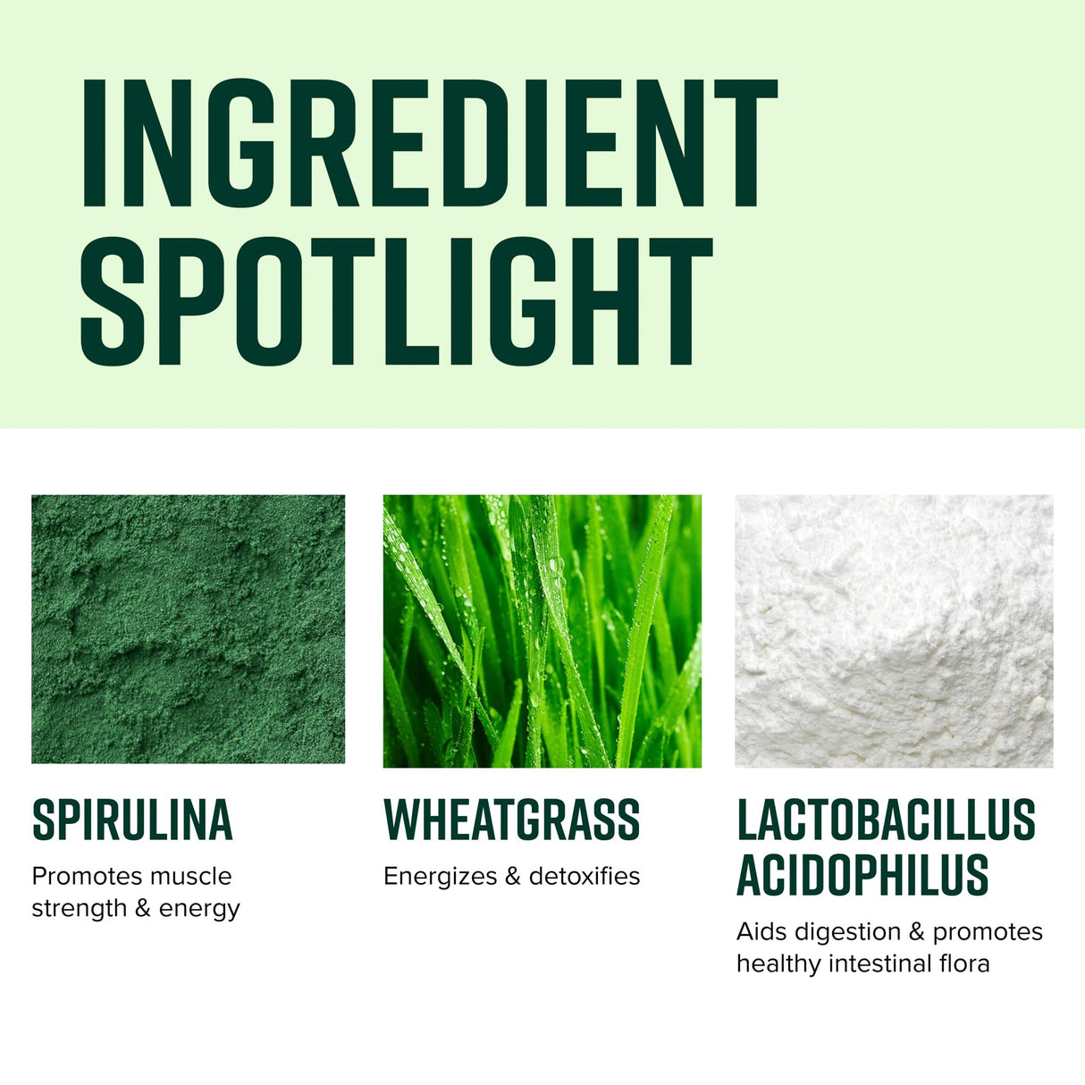 Vibrant Health, Green Vibrance, Superfoods Powder with 70+ Plant-Based Whole Foods & 25 Billion Probiotics Per Serving, Blueberry Lemon, 25 Servings