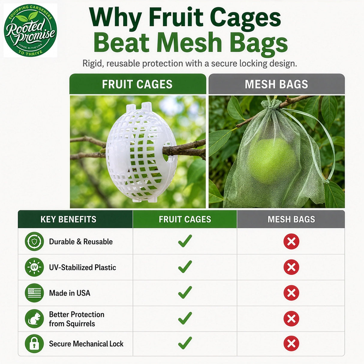 Rooted Promise Fruit Protection Cages for Peaches and More | 2026 Improved Secure-Lock Design | Small 4x5 Inch | 12 Pack | Squirrel Resistant | Reusable Heavy-Duty Plastic | Made in USA