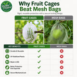 Rooted Promise Fruit Protection Cages for Peaches and More | 2026 Improved Secure-Lock Design | Small 4x5 Inch | 12 Pack | Squirrel Resistant | Reusable Heavy-Duty Plastic | Made in USA