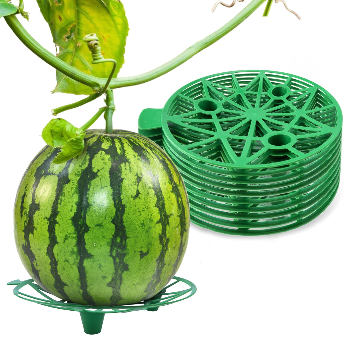 UCandy Pack 10 Plant Melon Supports Cages Cradles Trellis for Watermelon, Cantaloupe, Pumpkins, Strawberries Avoid Ground Rot (Light grenn)