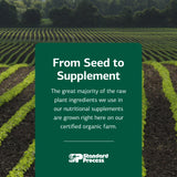 Standard Process Inc. Spleen Desiccated - Whole Food Immune Support, Spleen and Healthy Blood - Gluten Free - 90 Tablets