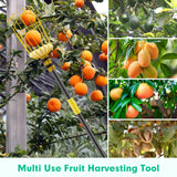 Lilyvane Fruit Picker, 66 Inch Long Heavy Duty Fruit Picker Tool with Fruit Basket, Adjustable Splicing Extension Fruit Picker Pole Fruit Picking Grabber