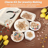 500Pcs Charms Lip Gloss Keychain Making Kit, DIY Craft Supplies with Charms, Key Chain Hooks, Jump Rings, Lobster Clasps, Chains & Tools, Jewelry Making Kit for Custom Keychains, Christmas Gifts