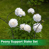 HEYTIMI 4 Pack Peony Cages and Supports Cages 13" D x 22.8" H Heavy Duty Metal Support Frame for Peonies & Roses Natural Bouquet Shape Garden Stakes for Outdoor Plants Flowers Ornamental (Black)