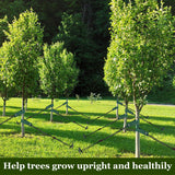 Tree Stakes and Supports, Heavy Duty Tree Stakes Kit Include 3Pcs Tree Straps for Staking, 3Pcs 16" Steel Spikes, and 39Ft Rope, Tree Supports for Young Tree Anti Strong Wind, Bad Weather