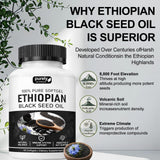 Purely Nutrient Ethiopian Black Seed Oil, Purely Ethiopian Black Seed Oil Capsules 4.64% Thymoquinone, Organic Cold Pressed Black Cumin Seed Oil Softgels, Non-GMO, Gluten-Free, 60 Softgels